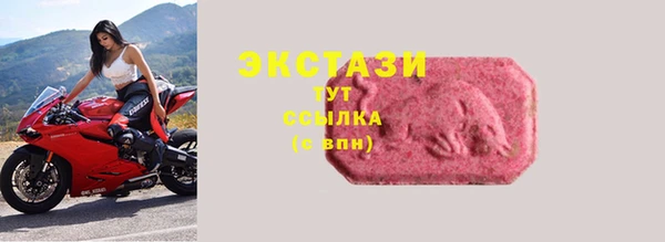 ECSTASY Бородино