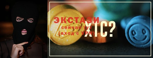 ECSTASY Бородино